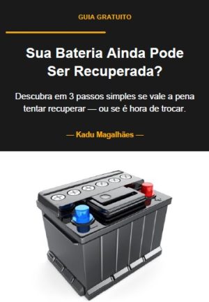 capa guia 1