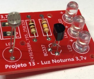 placa projeto 13